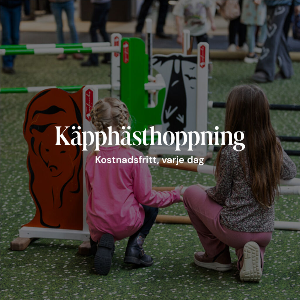 Käpphästhoppning