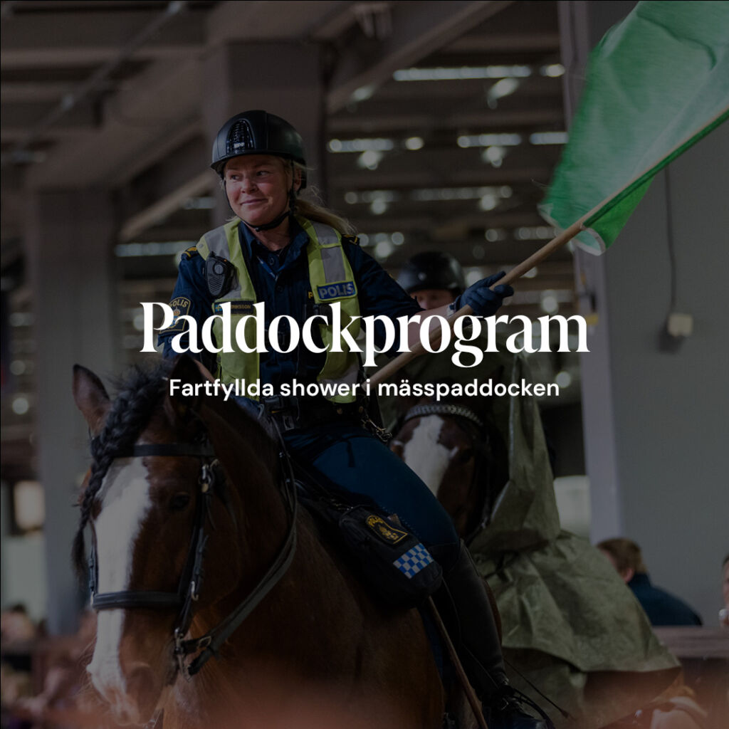 Paddockprogram